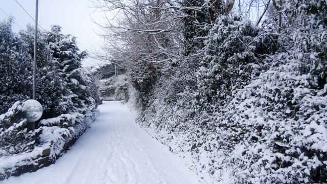 Back Lane in the snow..   #snowday Back Lane in the snow..   #snowday